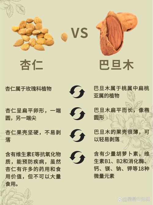 巴旦木跟杏仁是一样的吗?园艺师带你分清这两种“核”心果树 常见误区澄清