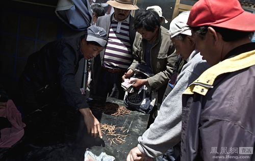 福州哪里卖冬虫夏草?先别急着问店名,先查这5项 五、看售后:退换规则要写清楚