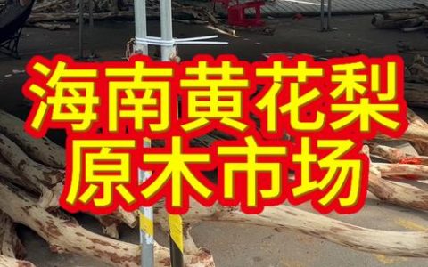 黄花梨水果多少钱一斤