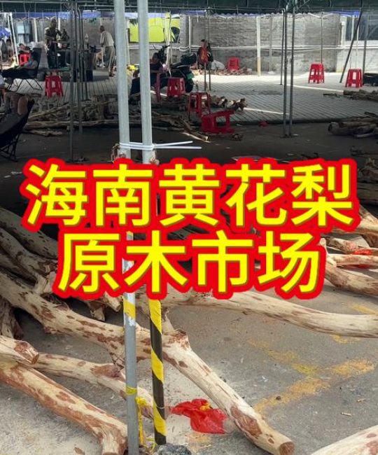 黄花梨水果多少钱一斤