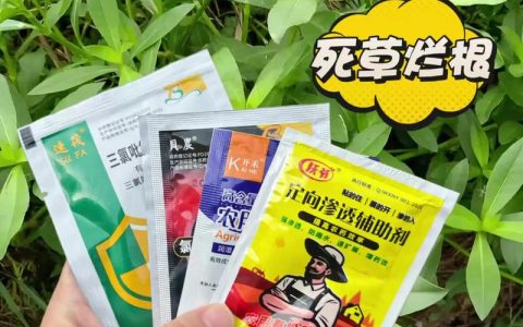 花生除草剂用什么药最好？花生田封闭除草与苗后除草推荐指南