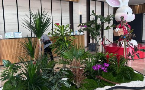 绿植花卉租赁租摆公司：企业办公绿植养护与价格全解析