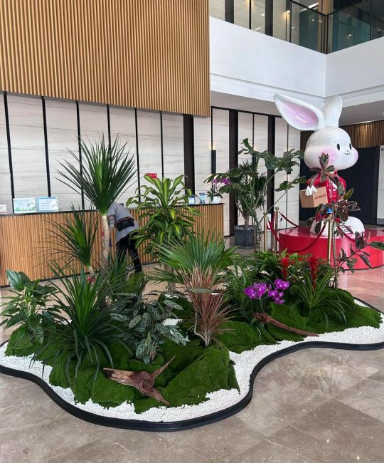 绿植花卉租赁租摆公司：企业办公绿植养护与价格全解析