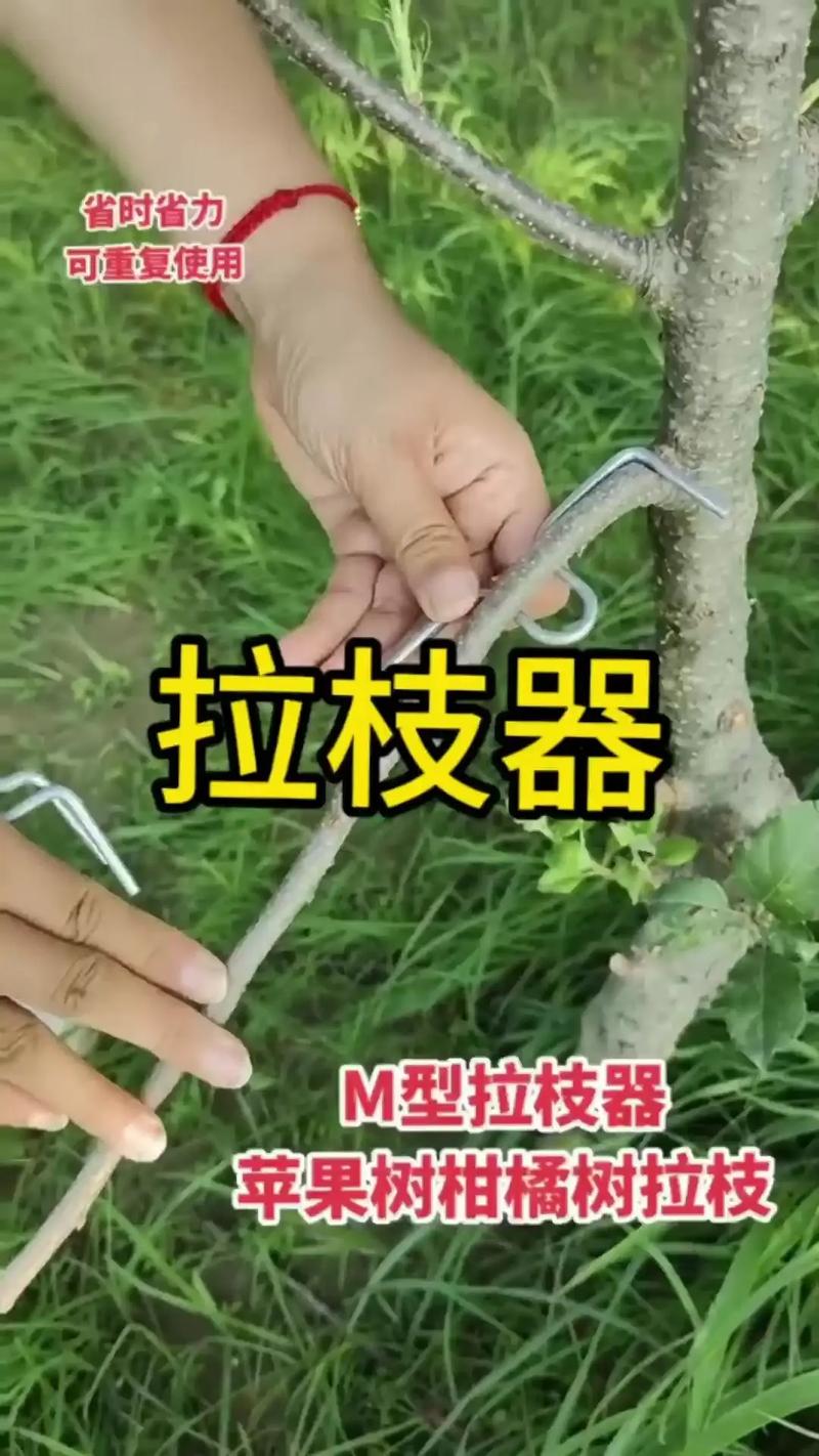 果树拉枝器多少钱一个 季节波动幅度约15%-25%