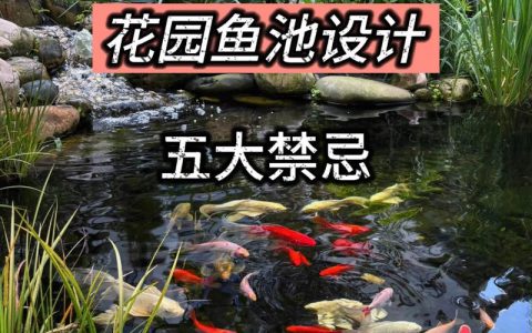 庭院鱼池的八大禁忌：从科学布局到维护管理的实用指南