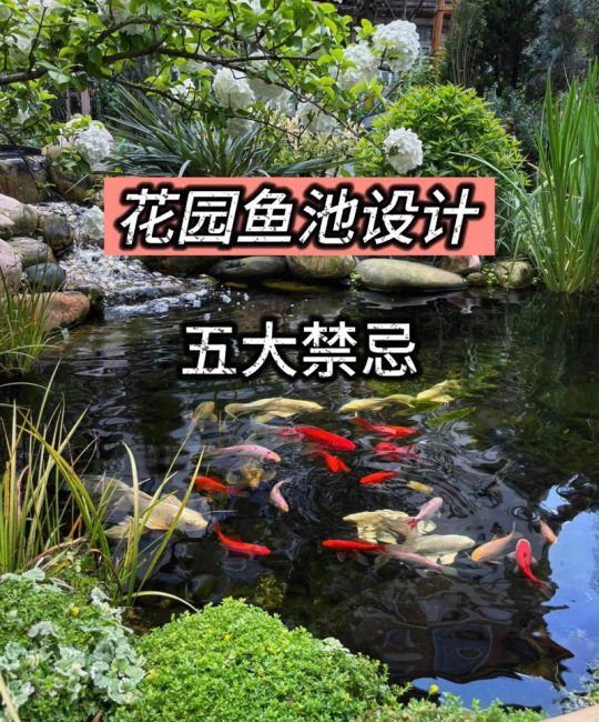 庭院鱼池的八大禁忌：从科学布局到维护管理的实用指南