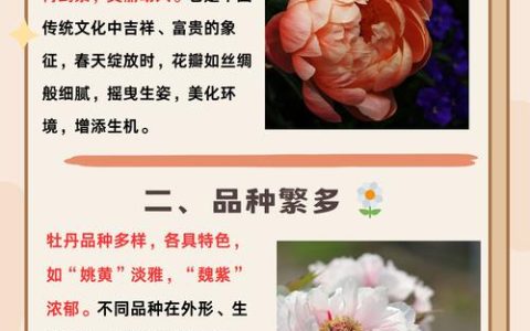 牡丹花别名叫什么？一文读懂牡丹的别名、品种与养护