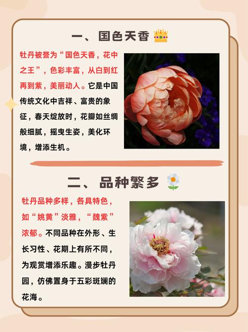 牡丹花别名叫什么?一文读懂牡丹的别名、品种与养护 牡丹花别名叫什么?一文读懂牡丹的别名、品种与养护