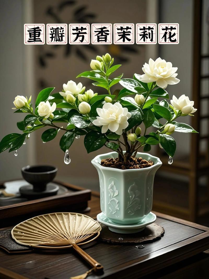 茉莉花是什么品牌?先弄清它不是品牌,而是一种常见芳香植物 生长习性