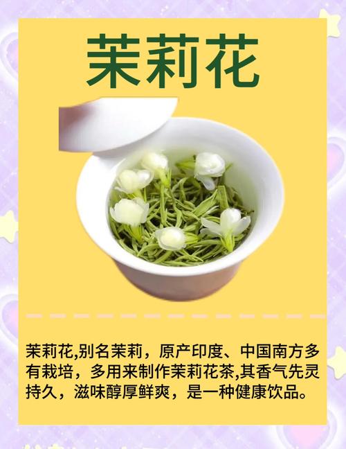 茉莉花是什么品牌?先弄清它不是品牌,而是一种常见芳香植物 识别要点