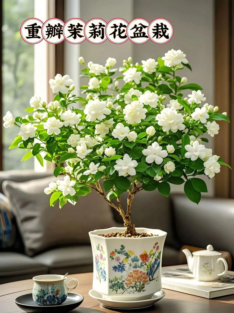 茉莉花是什么品牌?先弄清它不是品牌,而是一种常见芳香植物 结语