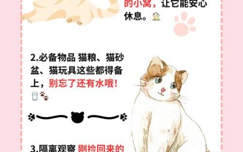院子里种竹子有什么说法吗？风水禁忌与科学种植指南