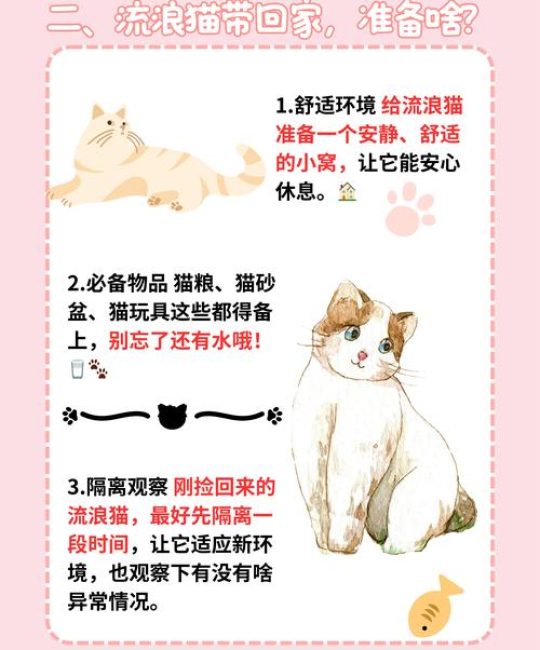 院子里种竹子有什么说法吗？风水禁忌与科学种植指南