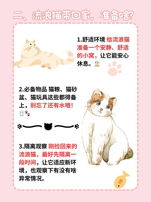 院子里种竹子有什么说法吗?风水禁忌与科学种植指南 院子里种竹子有什么说法吗?风水禁忌与科学种植指南