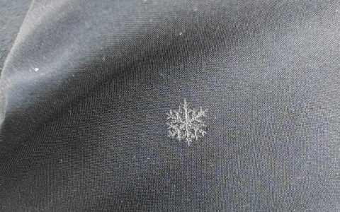 小雪花是什么形状的？一种名为“小雪花”的早春精灵植物百科