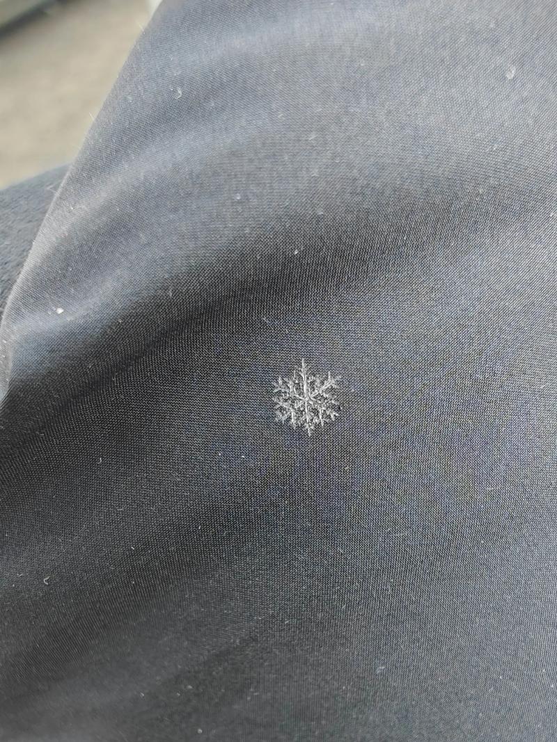 小雪花是什么形状的?一种名为“小雪花”的早春精灵植物百科 小雪花是什么形状的?一种名为“小雪花”的早春精灵植物百科