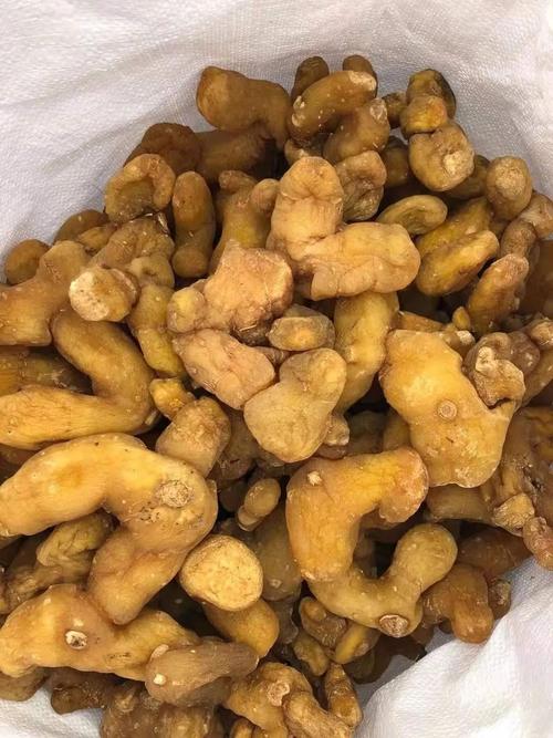种植一亩黄精多少钱?2025年最新成本与利润分析 5. 运输成本:最容易被忽视的隐性成本