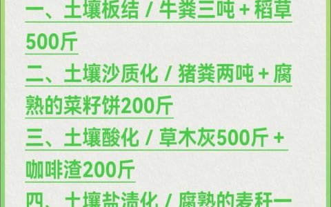 家庭土壤改良最简单三个方法：告别板结，养花更轻松