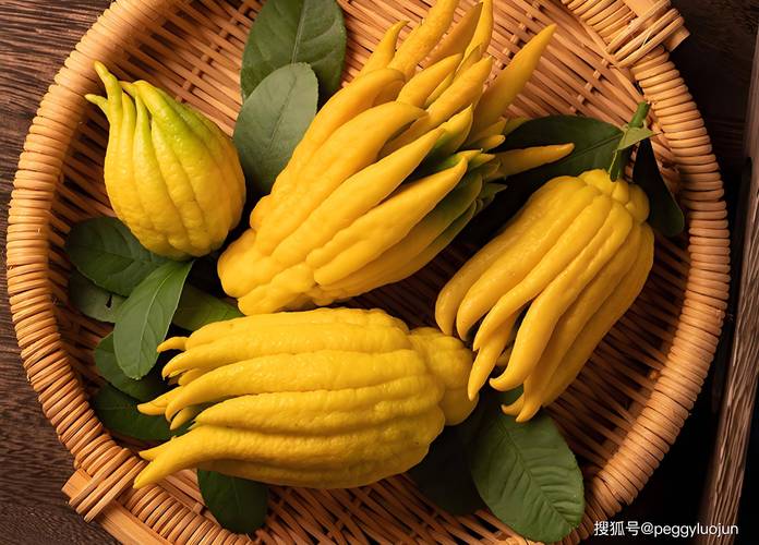 世界上共有多少种水果? 先从科学定义说起