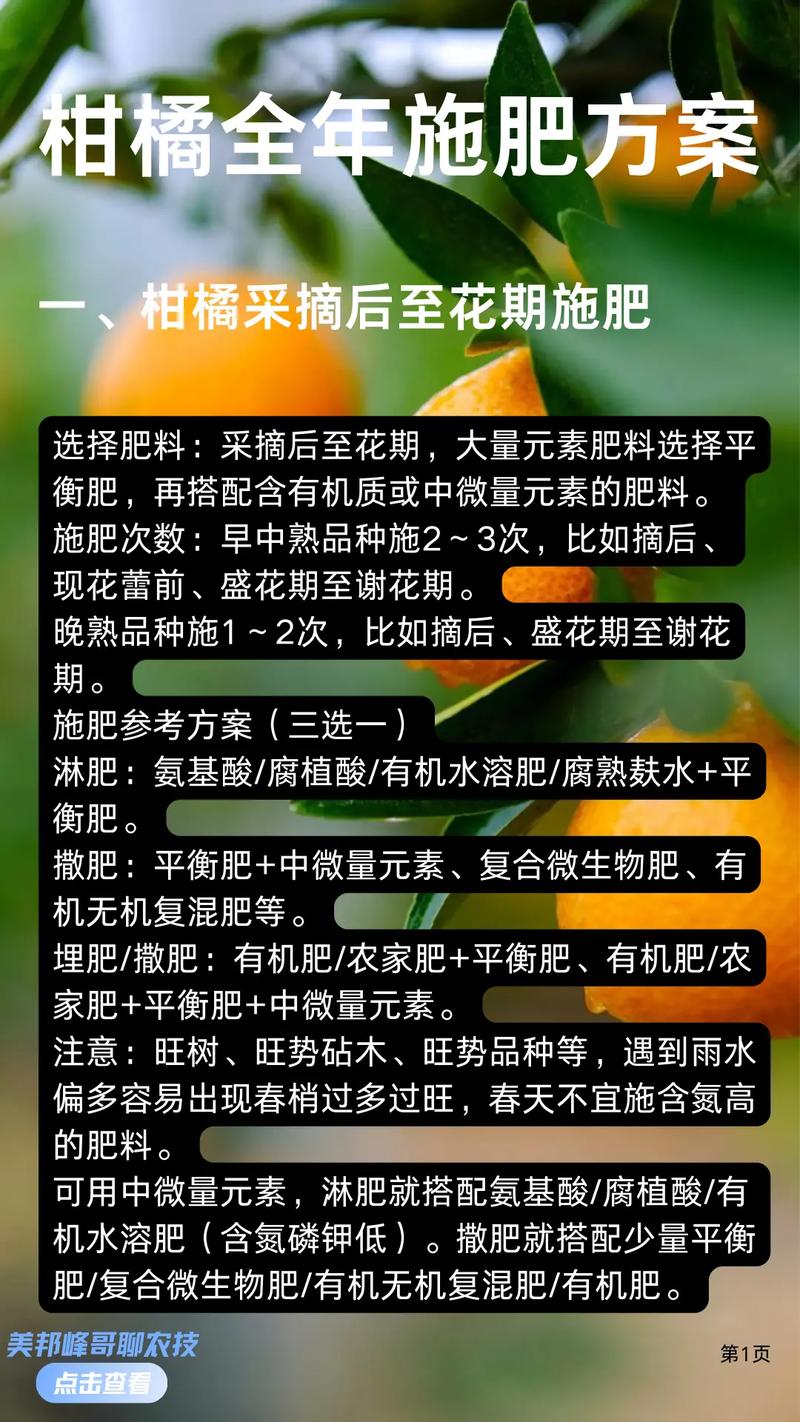 柑橘树壮果肥施用时间:6月下旬至7月中旬为最佳窗口期 壮果肥配方必须压低氮素比例,提高钾素比例