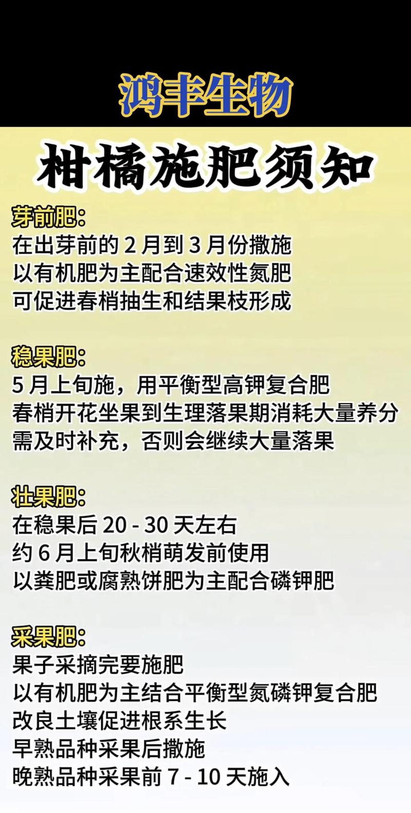 柑橘树壮果肥施用时间:6月下旬至7月中旬为最佳窗口期 粗皮大果型品种比细皮品种提前5-7天施入