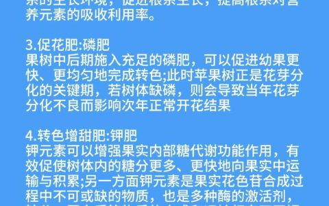 柑橘树壮果肥施用时间：6月下旬至7月中旬为最佳窗口期