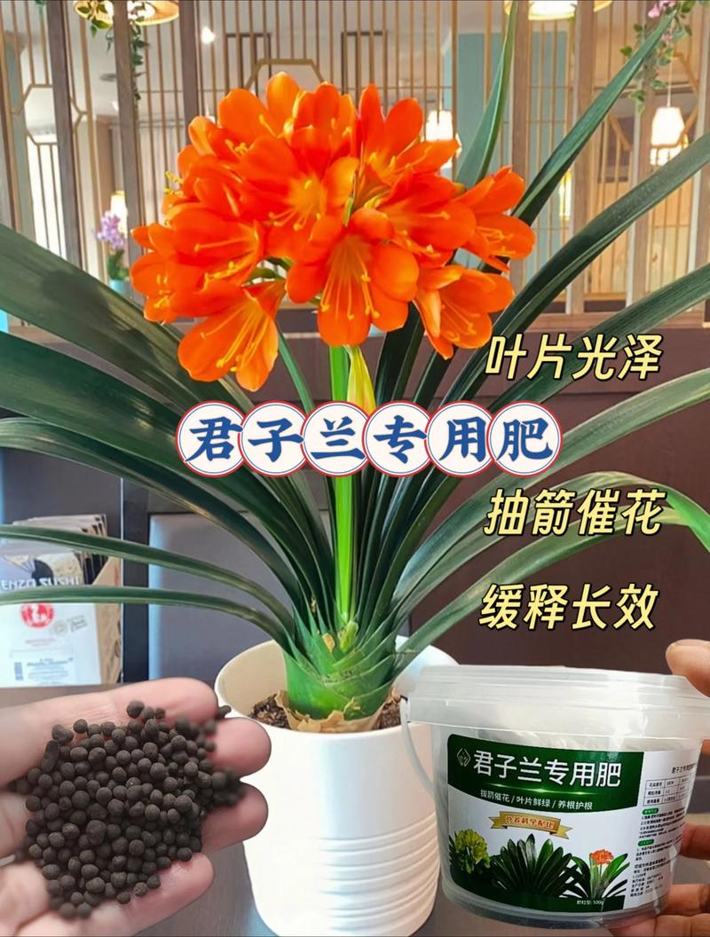 兰花能施复合肥吗?掌握正确方法,让兰花开得更艳 如何正确使用复合肥