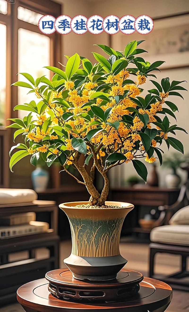 桂花养在室内好吗?科学分析室内盆栽桂花的可行性 四、已经养了,但出现黄叶落叶怎么办?