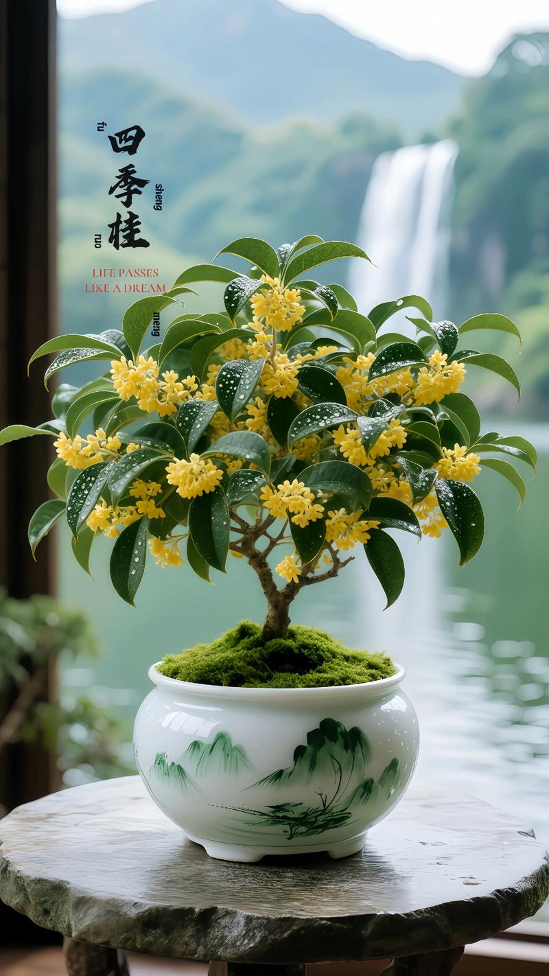 桂花养在室内好吗?科学分析室内盆栽桂花的可行性 五、结论与建议