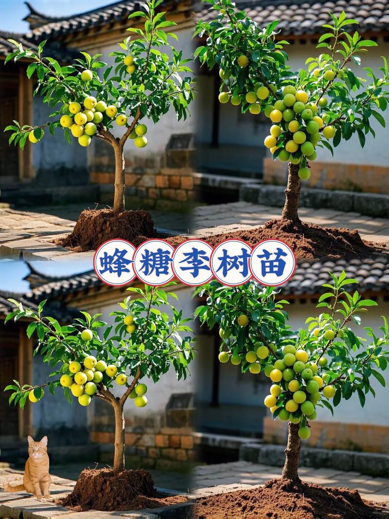青脆李子苗多少钱一株?2026年价格参考及五大影响因素 常见问题(FAQ)