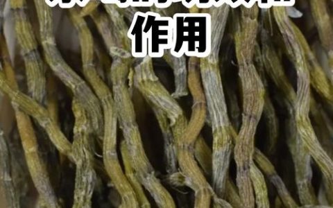 喝铁皮石斛花对身体有什么好处？安全食用指南与科普