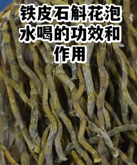 喝铁皮石斛花对身体有什么好处？安全食用指南与科普