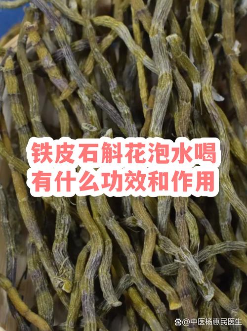 喝铁皮石斛花对身体有什么好处?安全食用指南与科普 总结与安全警示