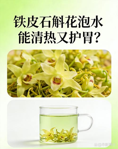 喝铁皮石斛花对身体有什么好处?安全食用指南与科普 安全性提示:需要留意的人群和情况