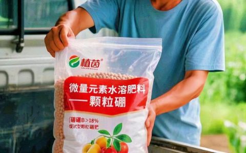 苹果树苗施肥指南：选对肥料，掌握时机，新手也能养出健壮果树