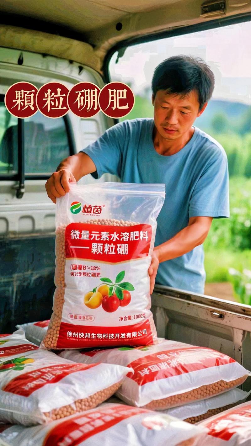 苹果树苗施肥指南：选对肥料，掌握时机，新手也能养出健壮果树