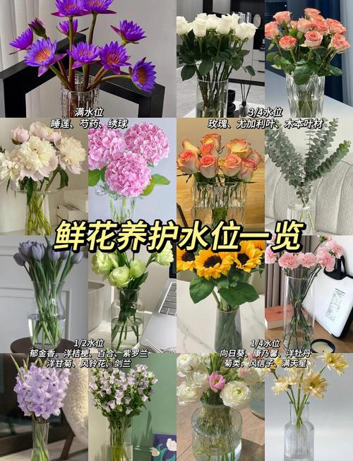 水培植物放多少水?标准水量、判断方法与常见错误全解析 关于水量的常见问题