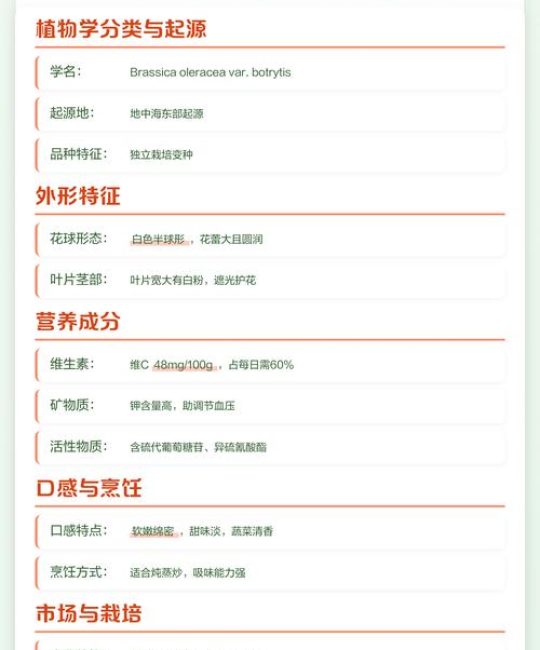 白花菜 vs 西兰花：营养成分与园艺种植的全面对比，差别竟这么大！