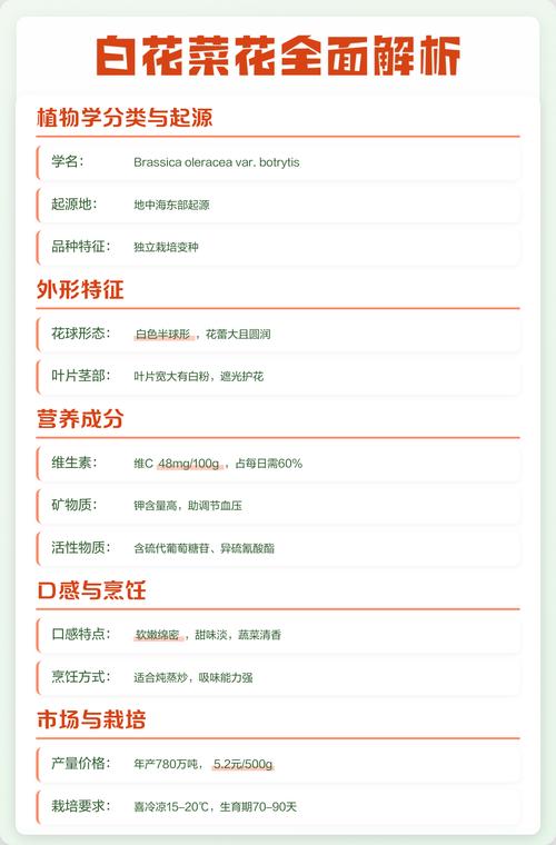 结论前置：白花菜与西兰花营养相似，但并非完全相同
