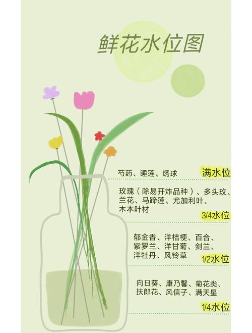 梅花开花时怎么浇水?花期水分管理全指南 影响开花的浇水关键因素