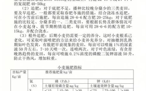玉米小苗施肥技术参数与配方标准