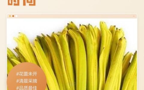 黄花菜采摘时间全攻略：几月采摘、怎么判断最佳时机与延长花期技巧