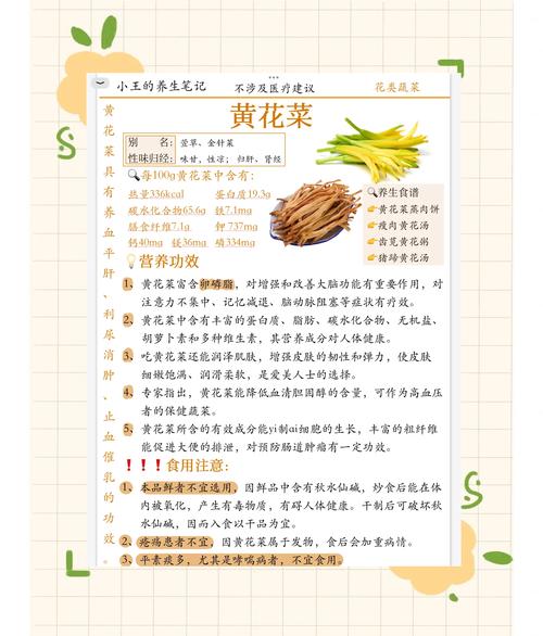 黄花菜采摘时间全攻略:几月采摘、怎么判断最佳时机与延长花期技巧 促花与延长采摘期养护步骤