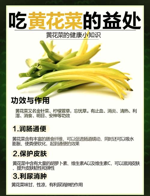 黄花菜采摘时间全攻略:几月采摘、怎么判断最佳时机与延长花期技巧 常见问题与解决