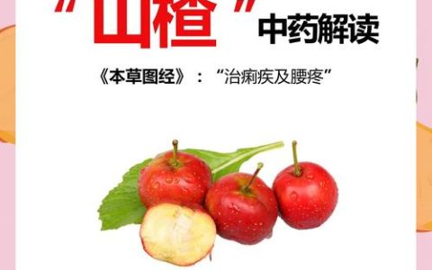 山楂的功效与作用：消食化积、活血化瘀的天然良药