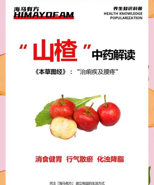 山楂的功效与作用：消食化积、活血化瘀的天然良药