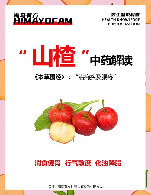 山楂的功效与作用:消食化积、活血化瘀的天然良药 山楂的功效与作用:消食化积、活血化瘀的天然良药