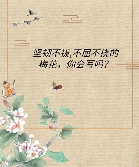 梅花精神：坚韧不拔的象征与植物学解读