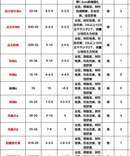 4×7木方价格多少钱一根？2025年最新市场报价与影响因素分析
