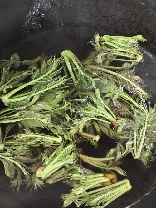 香椿焯水正确方法:去除亚硝酸盐并保持翠绿 香椿焯水正确方法:去除亚硝酸盐并保持翠绿